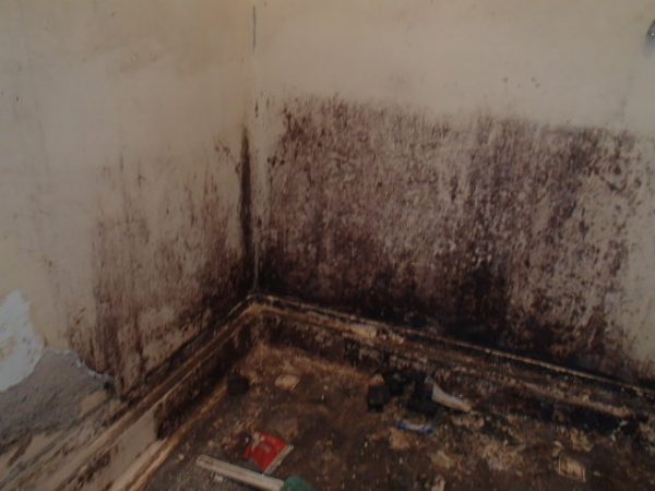 江東区Ｏ荘浴室修繕